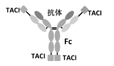 正版新澳资料