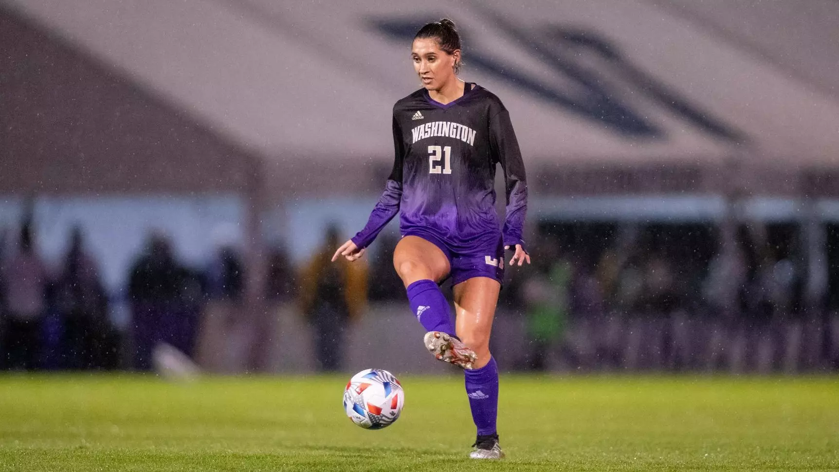 揭示了本次 揭示了本次