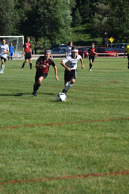 择加盟中国 择加盟中国