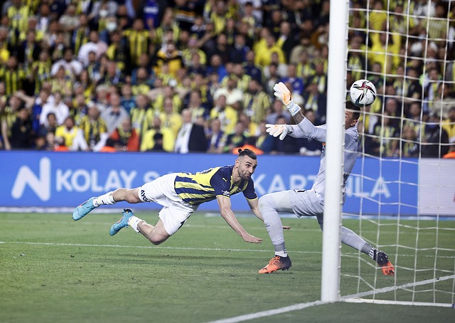 台青眼中的 台青眼中的